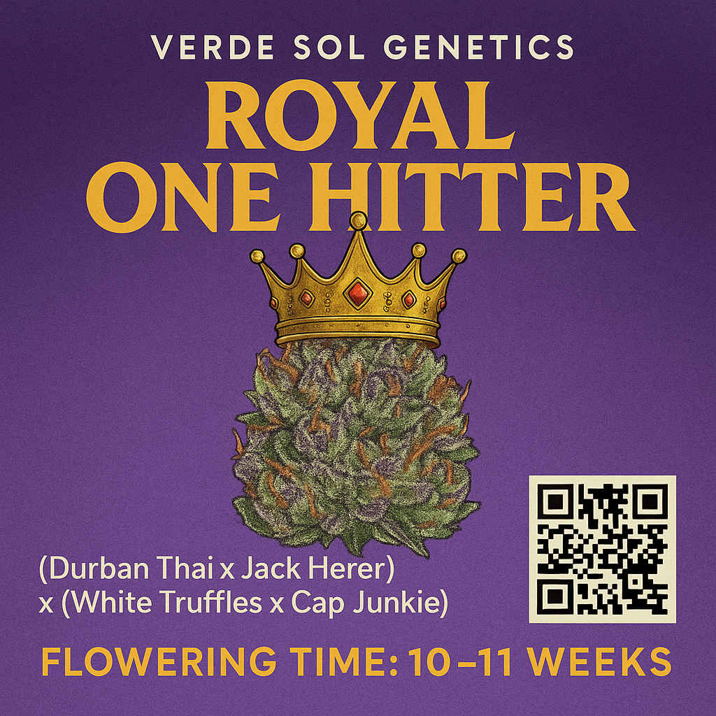 Royal One Hitter (Single seed)