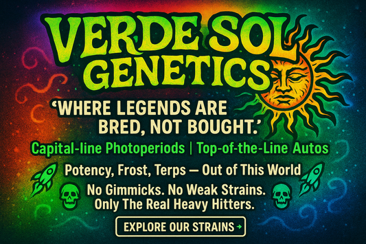 Breeder pack x10 Regular phot seeds.
