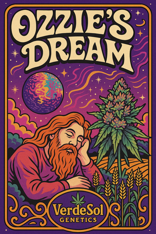 Ozzy's dream fem  XXL  6 pack