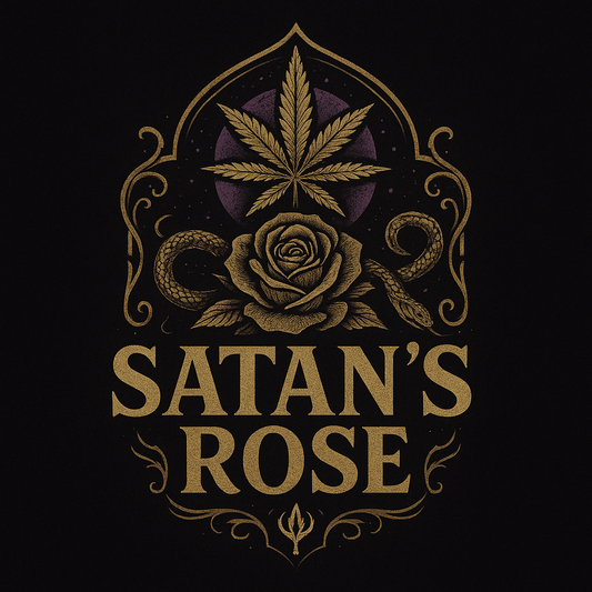 Satan's ROSE 🌹 PHOTO FEM X6
