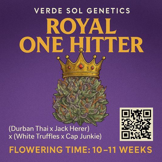 Royal One Hitter (Single seed)